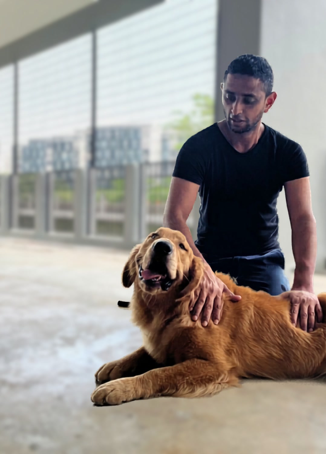 Shawn K crouched calmly beside a dog, reading its body language — Singapore in-home dog behaviour training